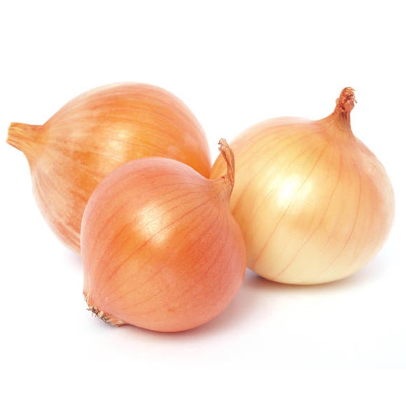 Price: €1.75 - Semillas de cebolla húngara Tisza - 