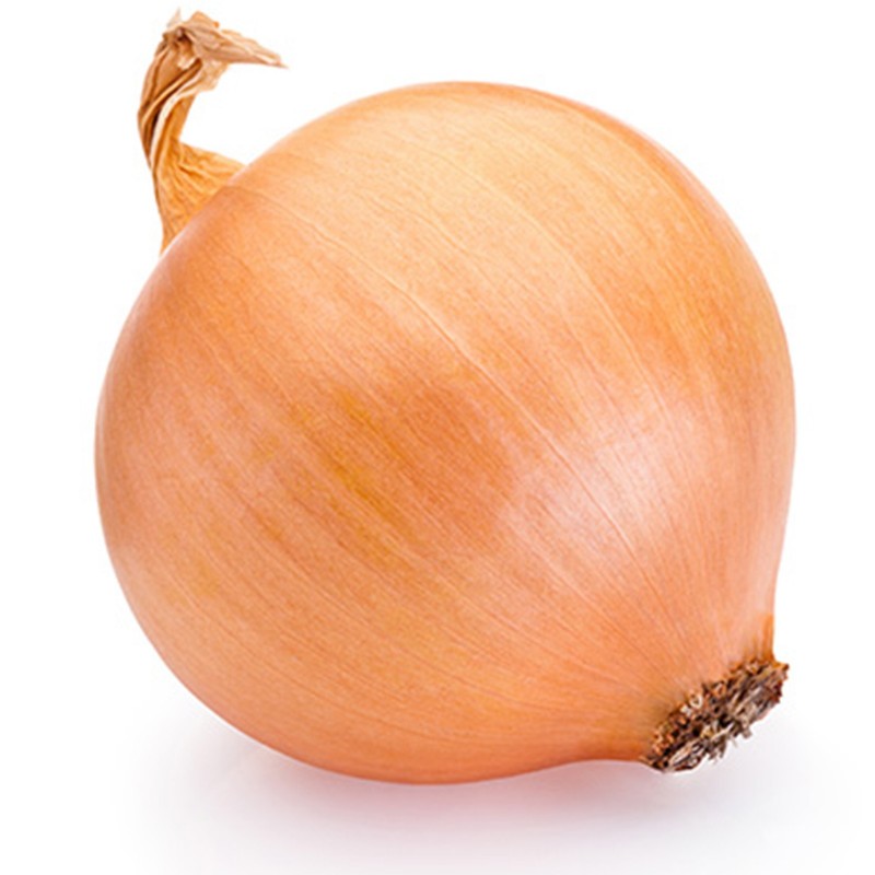 Price: €1.75 - Semillas de cebolla húngara Tisza - 