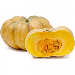 Price: €2.75 - LONG ISLAND CHEESE Κολοκύθι σπόρος (όχι υβρίδιο) - Seeds Gallery