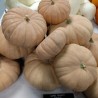 Sementes de Abóbora de QUEIJO DE LONG ISLAND
