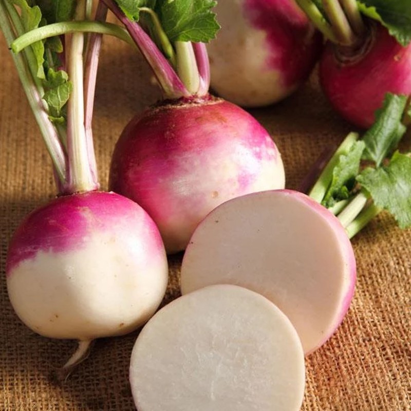 Price: €1.65 - Semi di rapa viola precoce - 