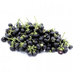 Price: €1.85 - Wonderberry Seme (Solanum burbankii) - 