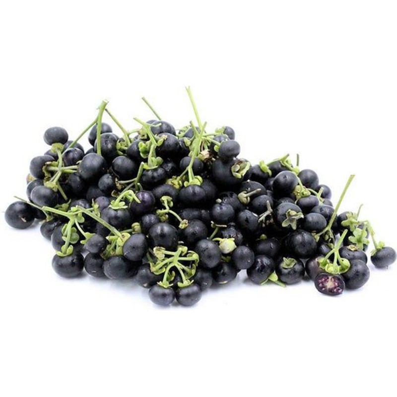 Wonderberry-Solanum x burbankii semi-rendimento ricchi frutto 20 