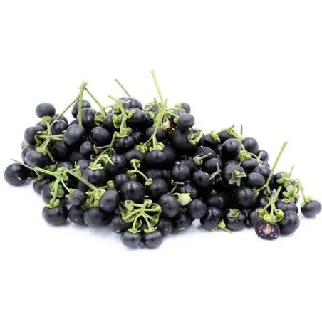 Sementes De Sunberry (Solanum burbankii)