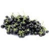 Sementes De Sunberry (Solanum burbankii)