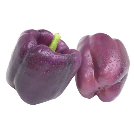 Semillas de Pimiento VIOLETA