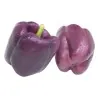 Semillas de Pimiento VIOLETA