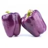 VIOLETTA Violet pepper Seeds