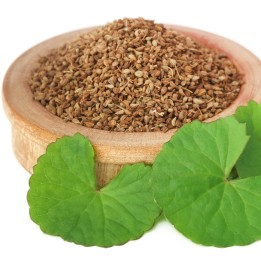Ajwain, ajowan Seeds (Trachyspermum ammi) - 1.665