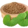 Ajwain, ajowan Seeds (Trachyspermum ammi)