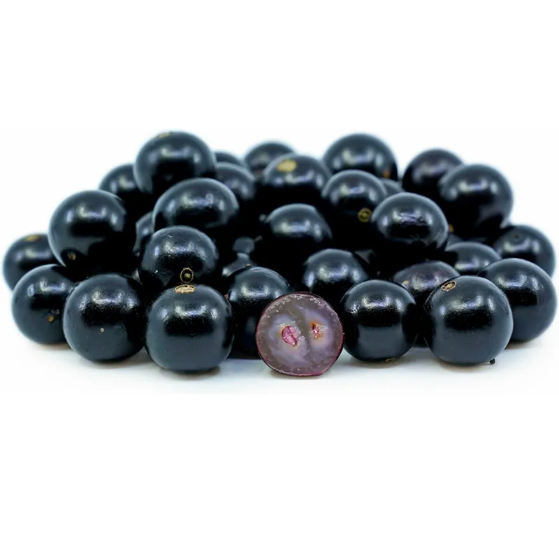 Sementes de Jabuticaba ou Jaboticaba (Plinia cauliflora)