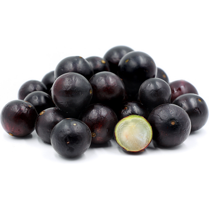 Brazilian Grapetree, Jabuticaba Seeds (Plinia cauliflora) - 5.85