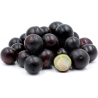 Sementes de Jabuticaba ou Jaboticaba (Plinia cauliflora)