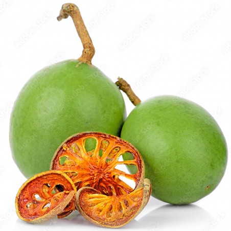 Price: €1.85 - Behlträd frön (Aegle marmelos) - 
