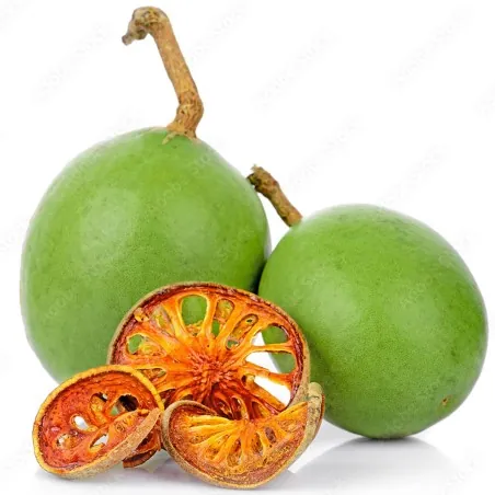 Behlträd frön (Aegle marmelos)