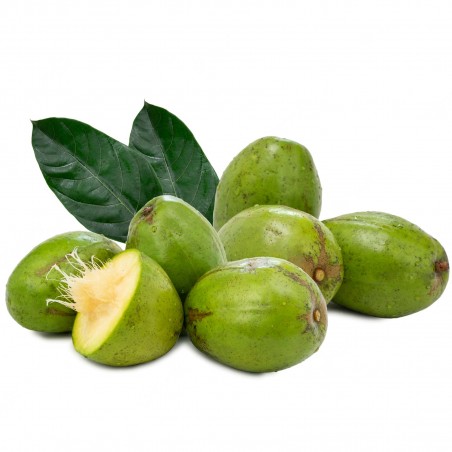 Price: €12 - June Plum Seeds (Spondias dulcis) -