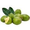 Goldpflaume Samen (Spondias dulcis)