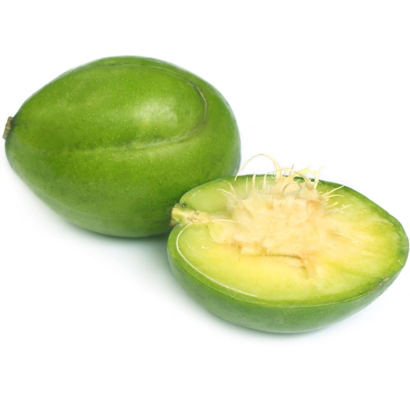 Price: €12 - June Plum Seeds (Spondias dulcis) - 