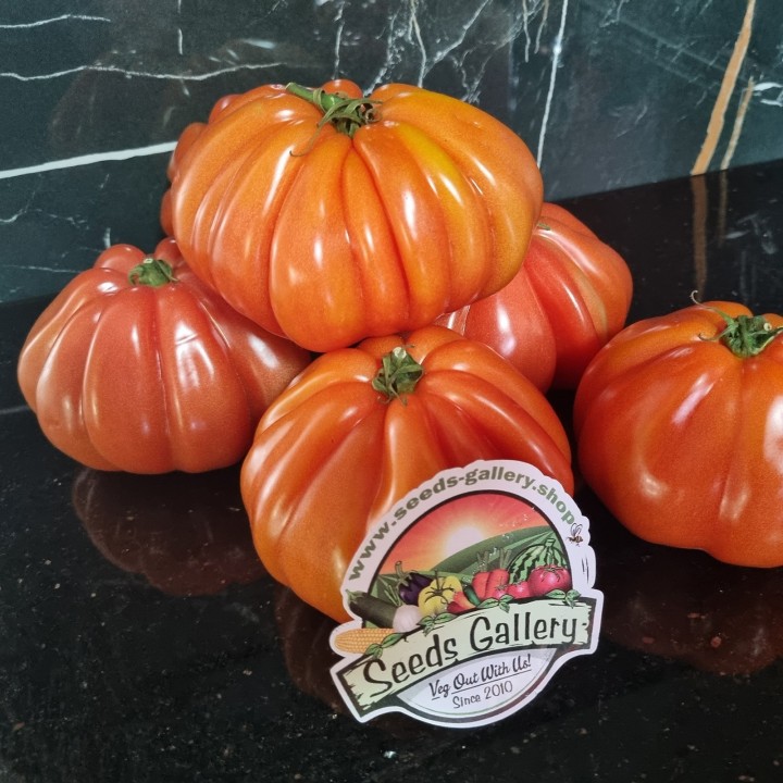 Italian CUORE DI BUE Tomato Seeds - 1.665