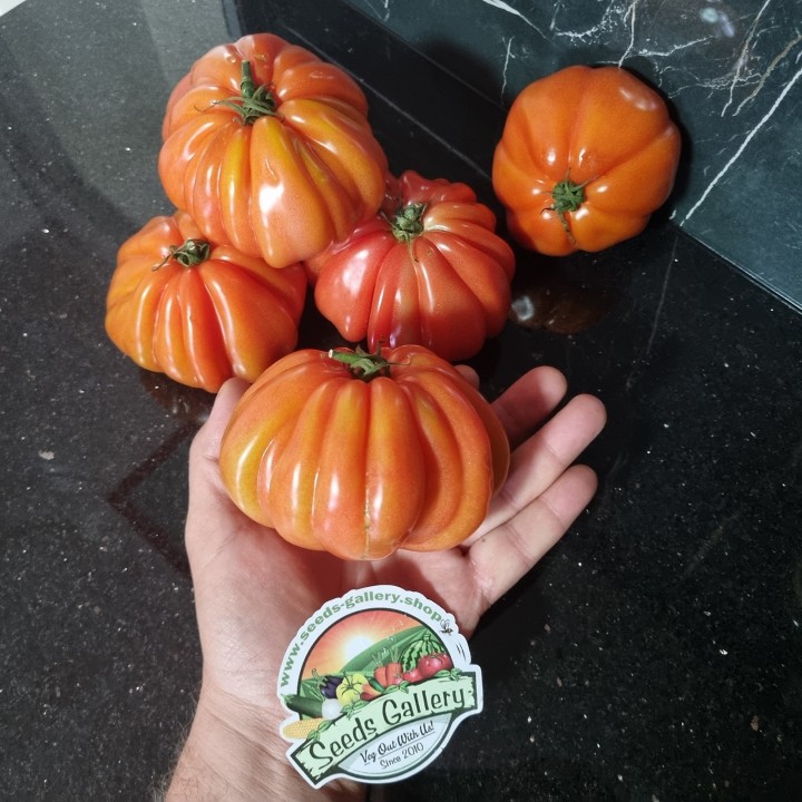 Italian CUORE DI BUE Tomato Seeds - 1.665