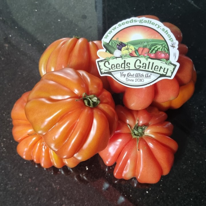Italian CUORE DI BUE Tomato Seeds - 1.665