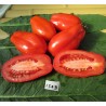 Price: €1.85 - Seme paradajza Scatalone - Seeds Gallery