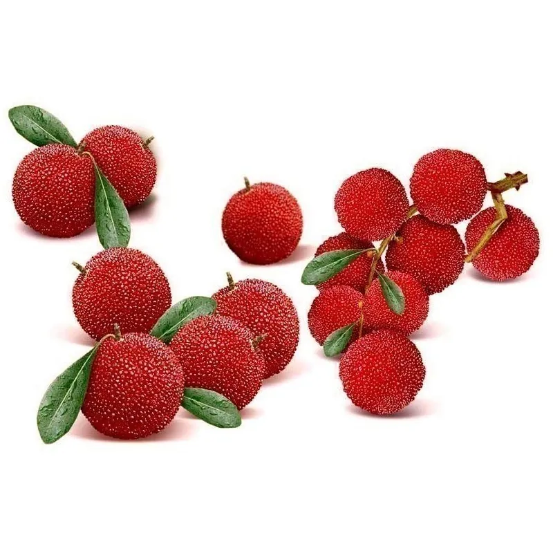 Graines de fraise chinoise (Myrica Rubra)