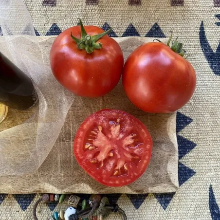 1500 Graines de tomate HEINZ 1370