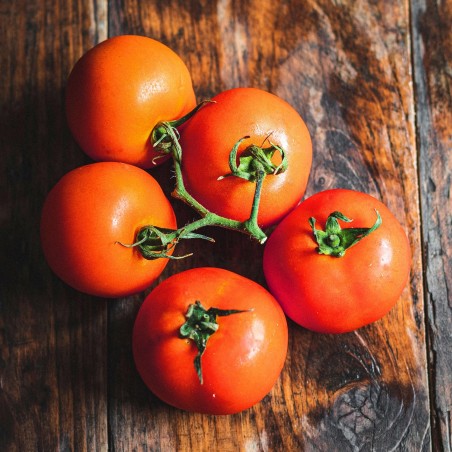 Price: €1.85 - Semi di pomodoro "Knjaz" -