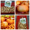 Stuttgarter Riesen Zwiebelzwiebeln | 2,25 €