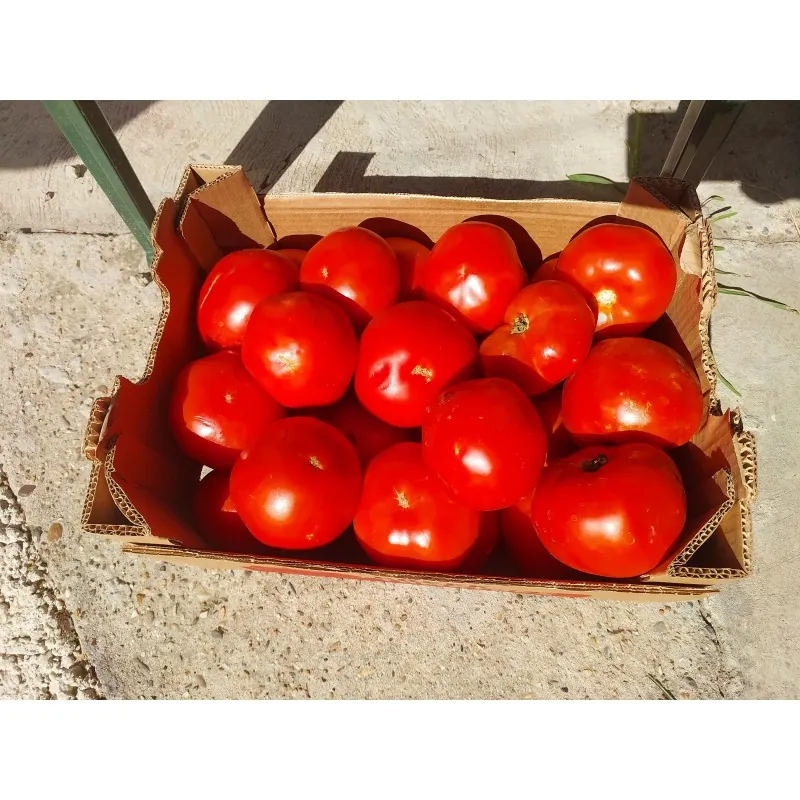 Semillas de Tomate Griego Kalampaka