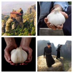 Price: €2.65 - Căței de usturoi grecesc Kalampaka - 