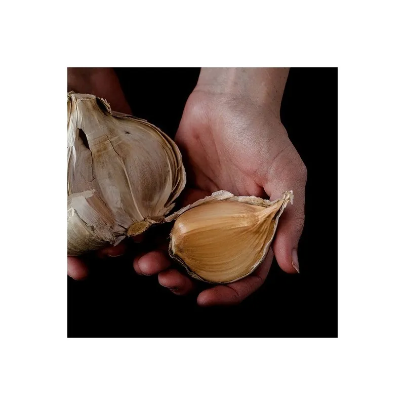 Griechische Kalampaka-Knoblauchzehen