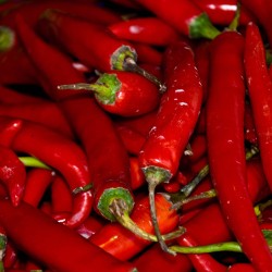 Variedades da Turquia