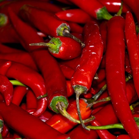 "Turkish Delight" édes paprika magvak