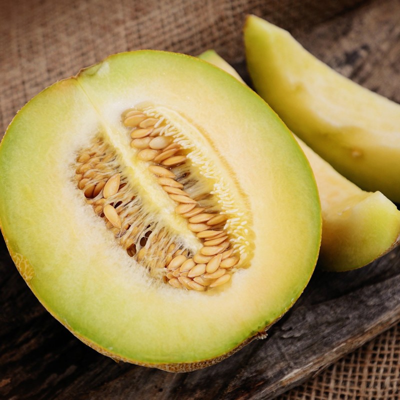 Melonfrön "Ungersk skatt"