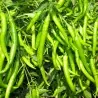 Paprika feferoni slatki