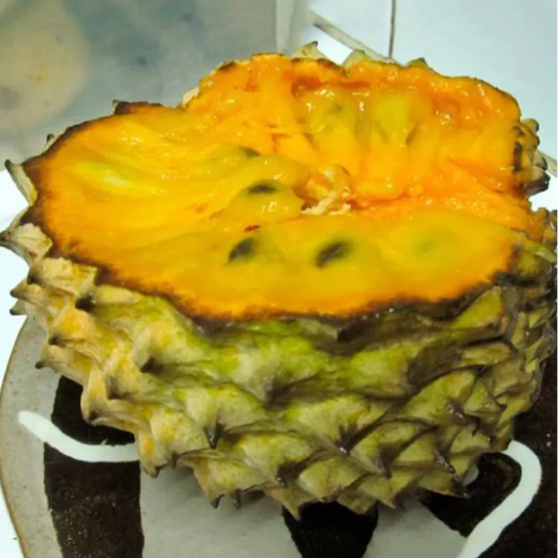Seminte de Sonkoya (Annona purpurea)