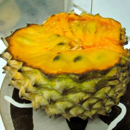 Price: €4.9 - Graines de Sonkoya (Annona purpurea) -