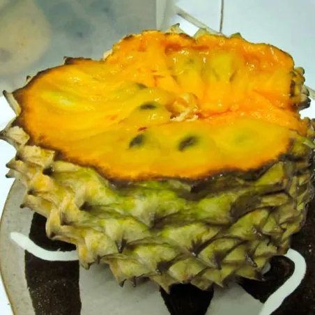 Seminte de Sonkoya (Annona purpurea)