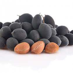Price: €4 - Σπόροι ταμαρίνδου δαμάσκηνου (Dialium indum) - 