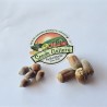 Price: €7.8 - Alun uriaș - Semințe (Corylus avellana) - 