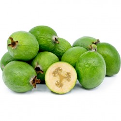 Price: €1.9 - Feijoa - Feijoasläktet Frön (Acca sellowiana) - 