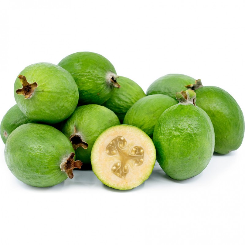 Price: €1.9 - Semi di Feijoa (Acca sellowiana) - 