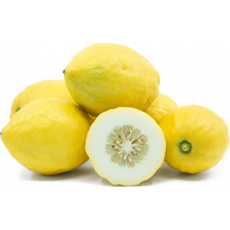 Price: €7 - Semințe de Citron Etrog - 
