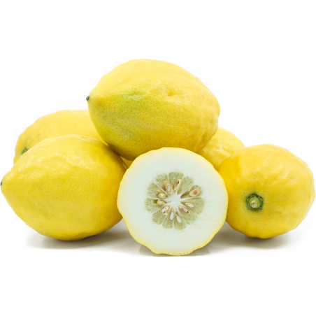 Etrog Citroen Zaden