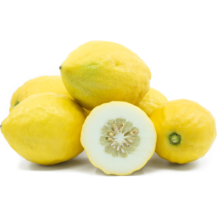Nasiona cytryn Etrog - 6.3