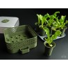 Selbstbewässerndes Anzuchtset - Modulares Wachstums-Kit | 40,00 €