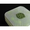Self-Watering Seed Starter Kit with Modular Growing Set | β¬40.00