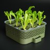 Self-Watering Seed Starter Kit with Modular Growing Set | β¬40.00